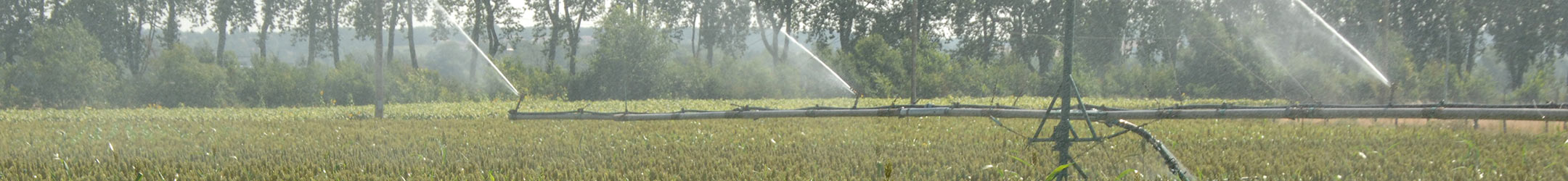 photo irrigation