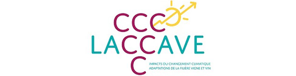 Bilan LACCAVE
