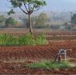 Adapter l'irrigation pour préparer l'agriculture indienne au changement climatique